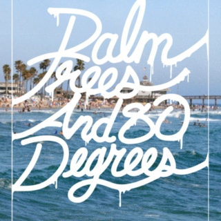 :: palmtrees & eighty degrees :: 