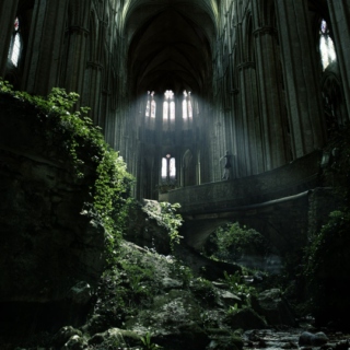 In the desolate ruins of neglect, a forsaken beauty is found.