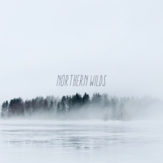 NORTHERN WILDS