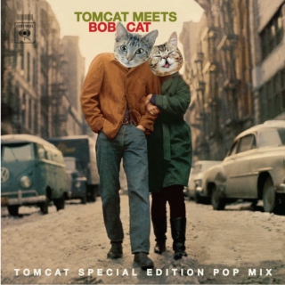 TomCat Meets BobCat
