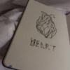  ❥the heart ❥