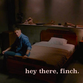 hey there, finch. 