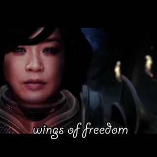 wings of freedom