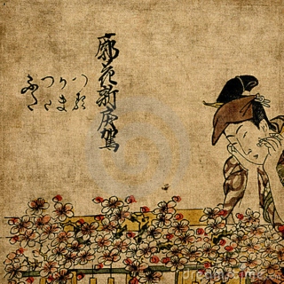 Ancient Japan: Edo & Meiji