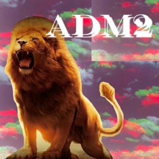 ADM2