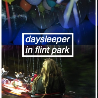 daysleeper in flint park 