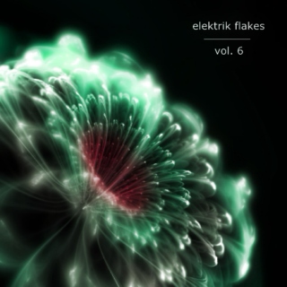elektrik flakes vol. 6