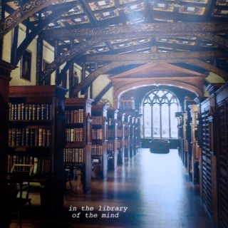 in the library of the mind