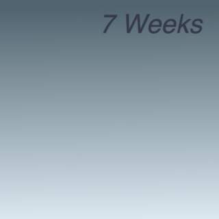 7 Weeks (The Mixtape)