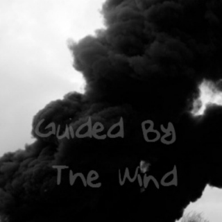 Guided By The Wind