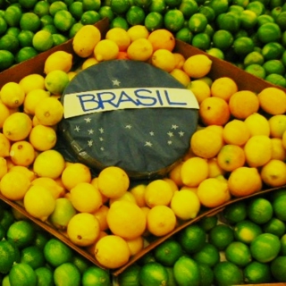 brasil grooves