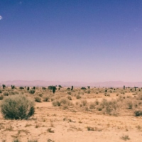 Traveling Through The Desert
