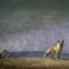 A Fox Thinks About Existentialism 