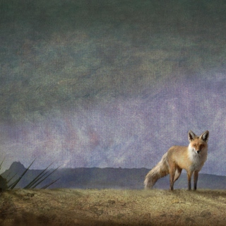 A Fox Thinks About Existentialism 