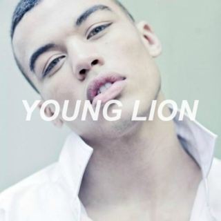 YOUNG LION