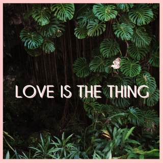 love is the thing.