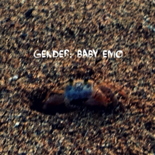 Gender: Baby Emo