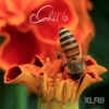 XLR8-Club - Chill.6