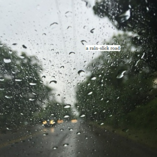 a rain-slick road