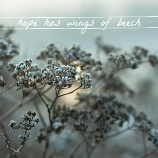 Hope has wings of beech.