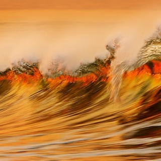 The Golden Wave