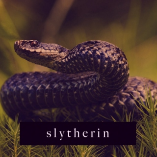 Slytherin Mixtape