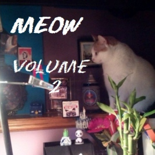 Meow Vol. 2