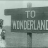 I Wander To Wonderland
