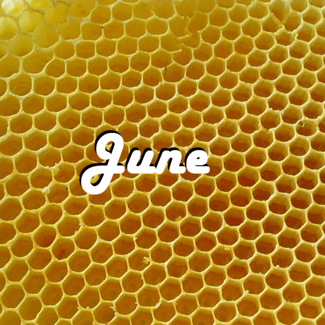 Honeycomb - June 2015