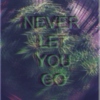 I'll NEVER LE✞ YOU GO { S†αψ †ri‽‽ψ} ☯✌☮