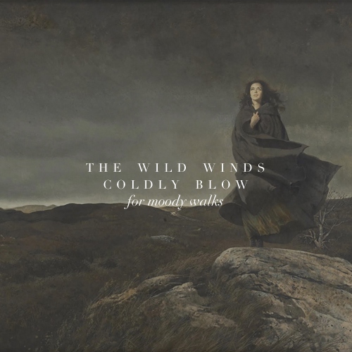the wild winds coldly blow