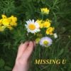 MISSING U