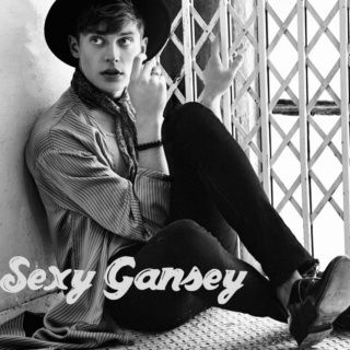 Sexy Gansey