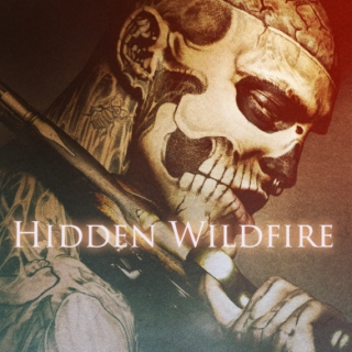 Hidden Wildfire