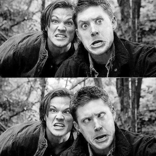 winchesters //