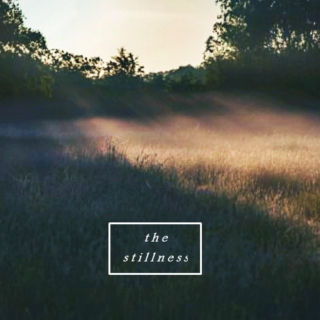the stillness 