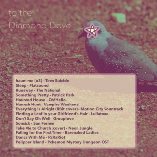 to the Diamond Dove
