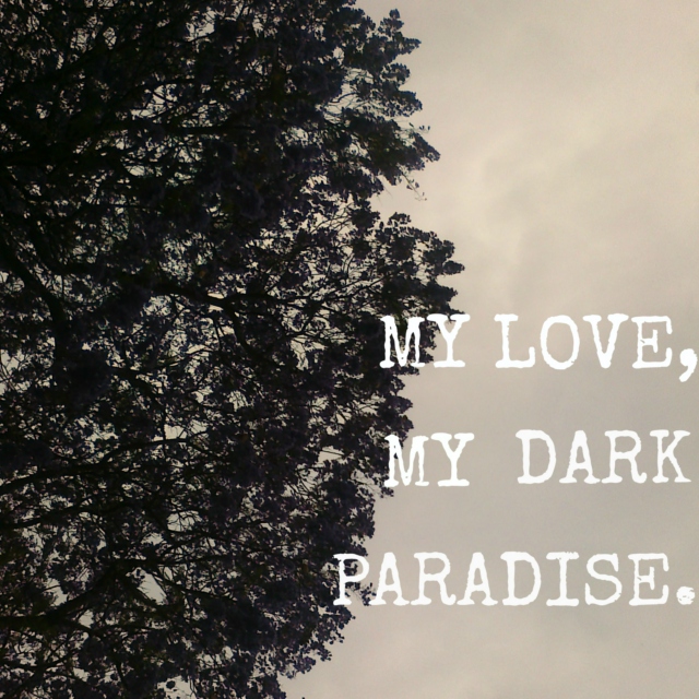 MY LOVE, MY DARK PARADISE