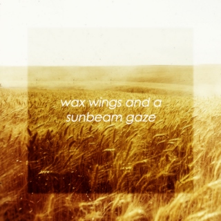 Wax Wings And A Sunbeam Gaze