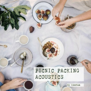 picnic packing acoustics