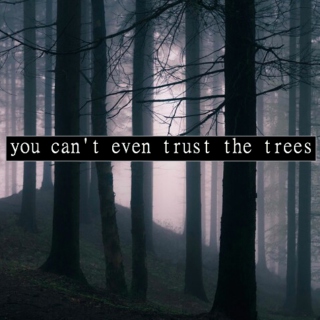 You Can't Even Trust the Trees