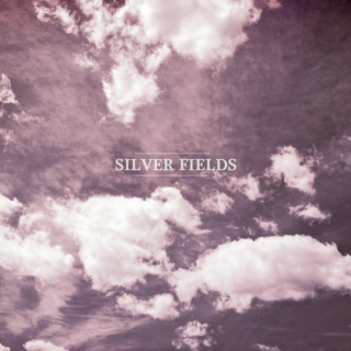 silver fields