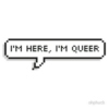 im here im queer