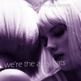 we're the alley cats