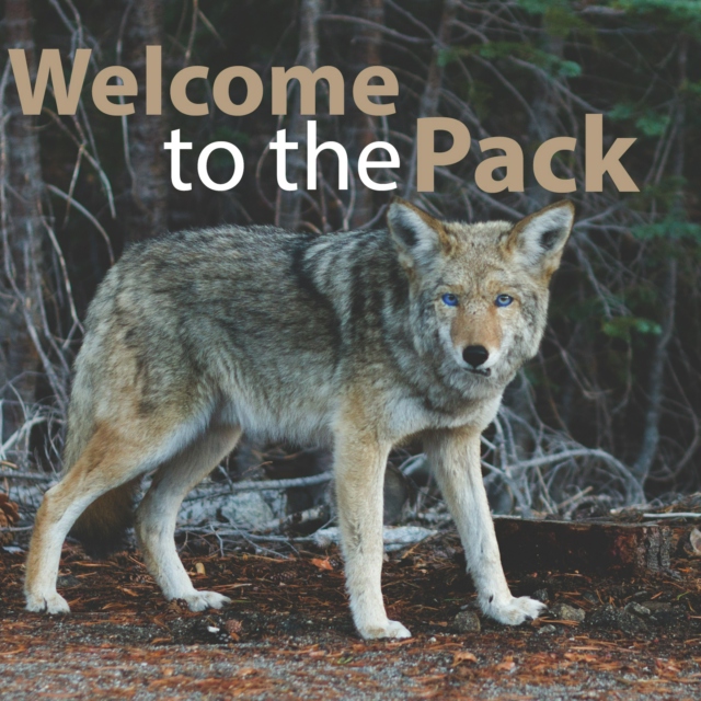 Welcome to the Pack