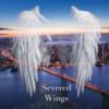 Severed Wings