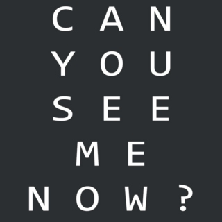 can you see me now?