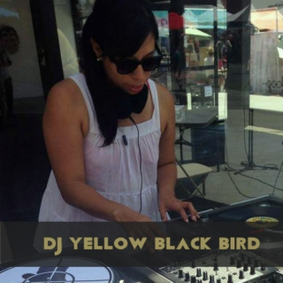 DJ Yellow Black Bird's Summer Playlist
