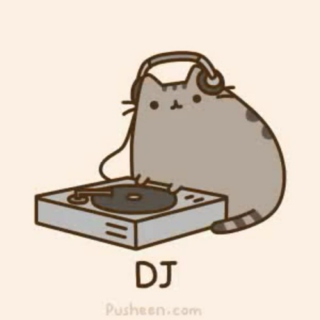 // the dj is a cat //