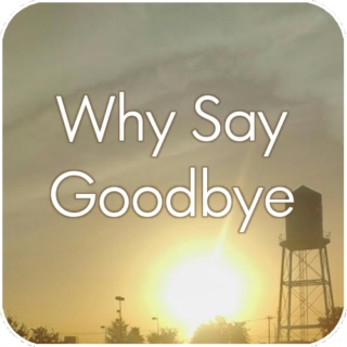 Why Say Goodbye
